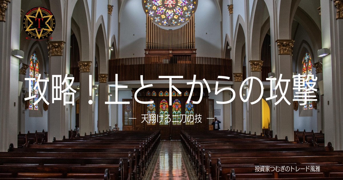攻略！上と下からの攻撃 ー天翔ける二刀の技ー。巨大市場に立ち向かう個人投資家の戦略イメージ―by投資家つむぎのトレード風雅